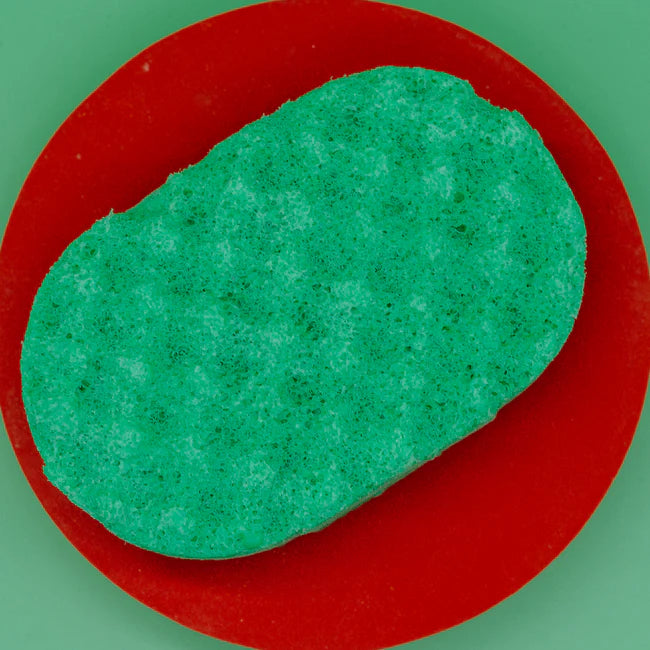 Watermelon Soap Sponge