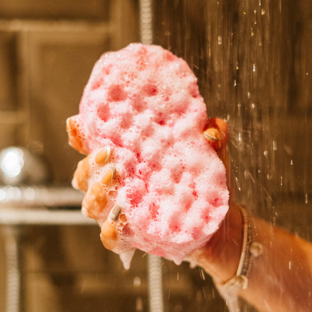 Belle Soap Sponge
